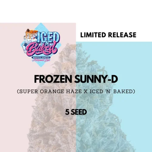 Frozen Sunny D Auto