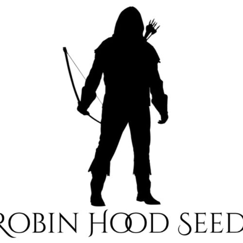 robin hood seeds