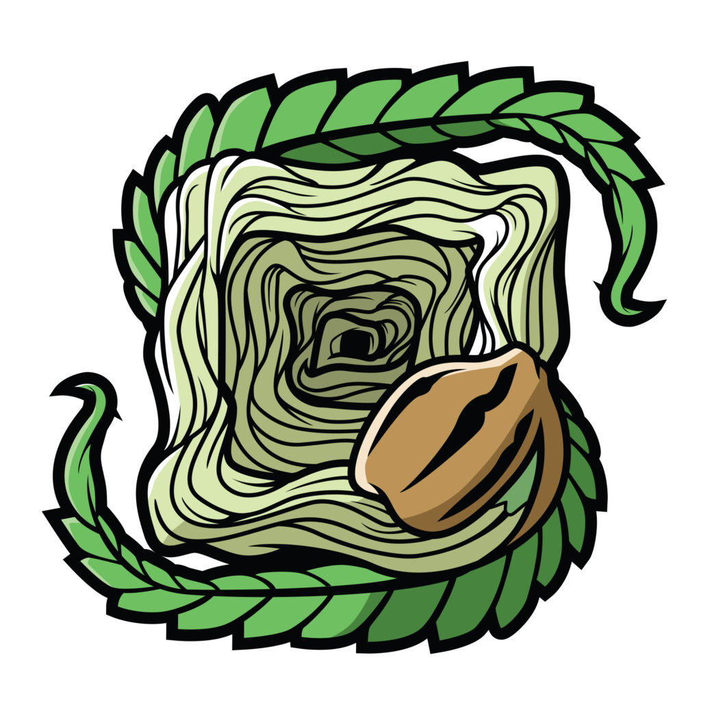 Cannabis seeds for sale carefully selected cannabis seeds 